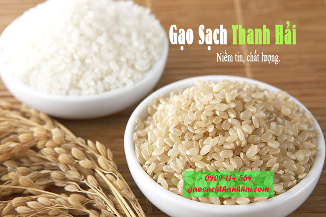 Gạo Sạch Thanh Hải chuyên cung cấp gạo ngon - sạch - giá tốt