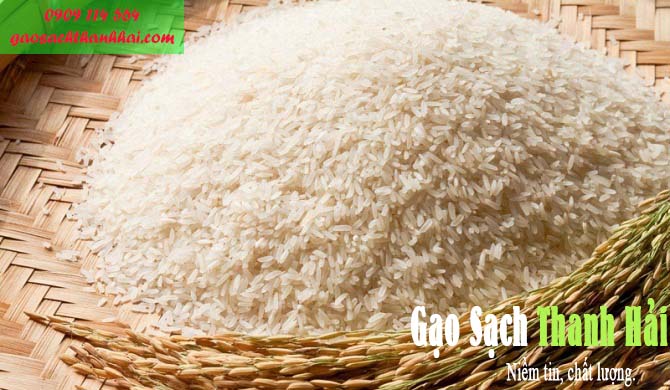 Gạo Nàng Xuân là sự kết hợp đầy ấn tượng của hương cốm và lá dứa