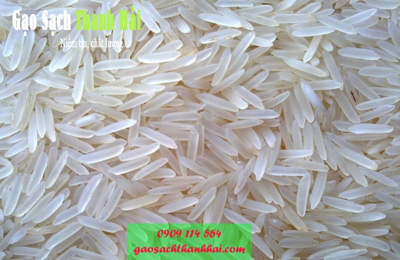 Gạo tám xoan Hải Hậu chiếm sản lượng lớn trong gạo xuất khẩu