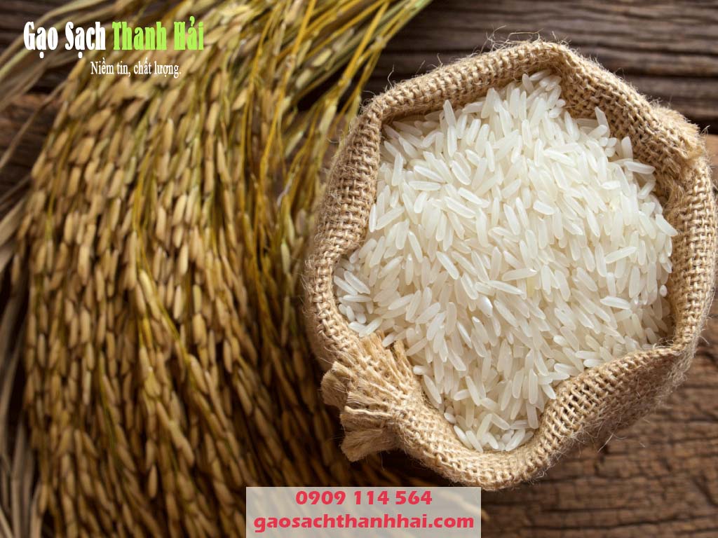 Gạo hữu cơ không chỉ là gạo ngon mà còn an toàn cho sức khỏe