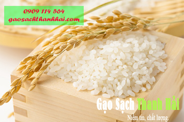 Gạo nở mềm được sử dụng cho nhiều mục đích, đối tượng khác nhau