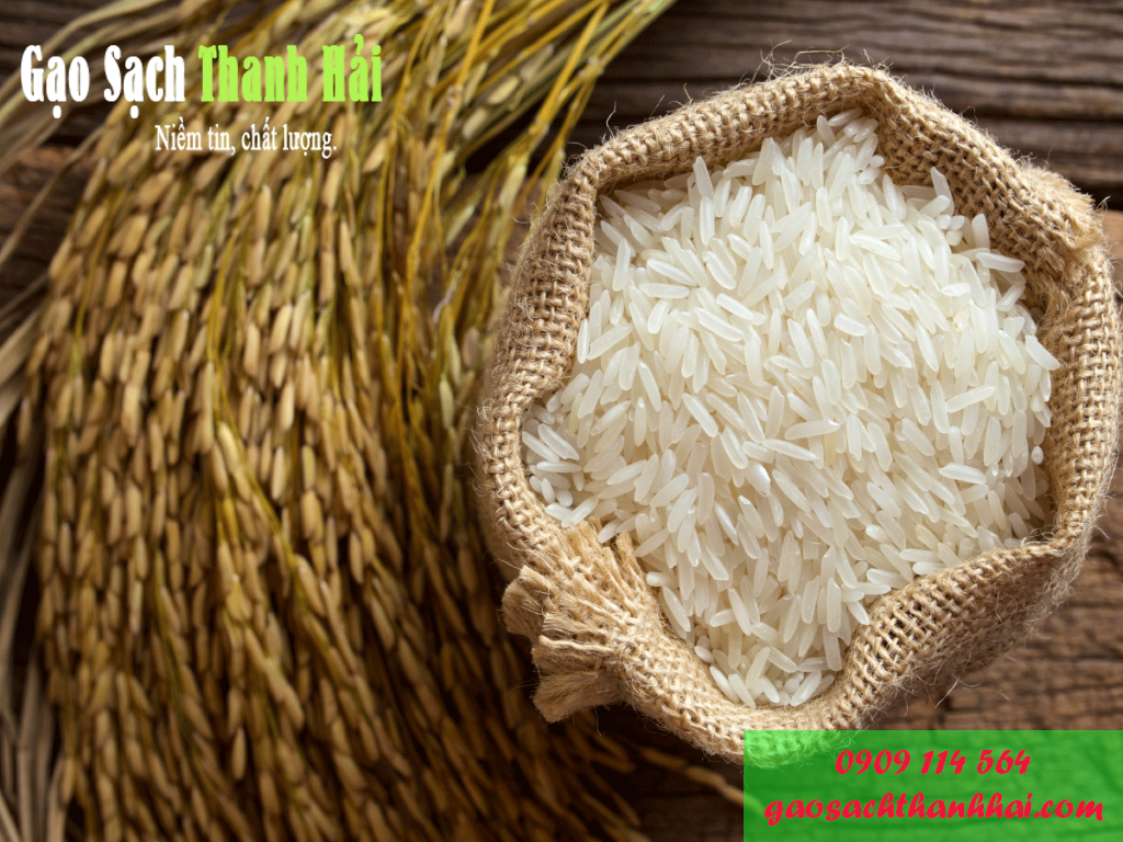 Nên chọn đơn vị cung cấp gạo từ thiện uy tín như Gạo Sạch Thanh Hải