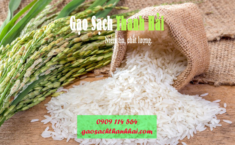 Kinh doanh gạo sạch dễ dàng với nguồn cung đa dạng và ổn định