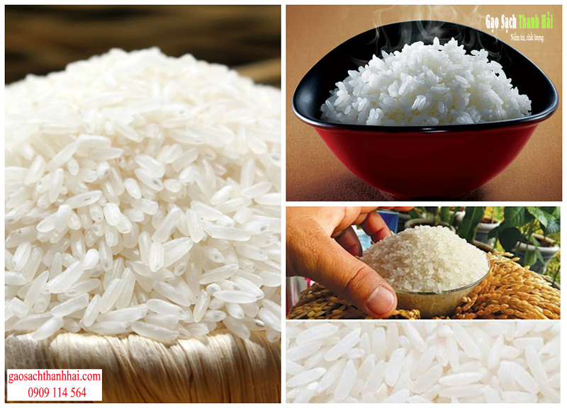 Nên có kiến thức bảo quản gạo để luôn đảm bảo gạo trong tình trạng tốt