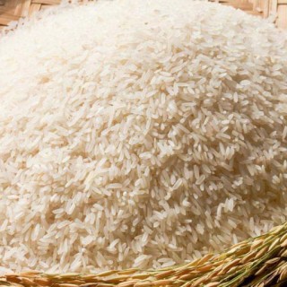 Gạo Bụi Tài Nguyên