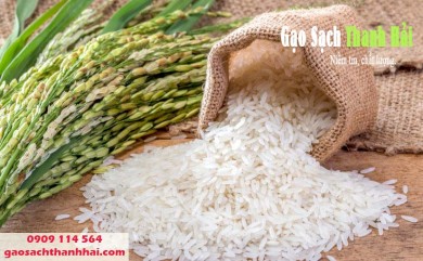 Những điều không thể bỏ qua trước khi chọn mua gạo hữu cơ