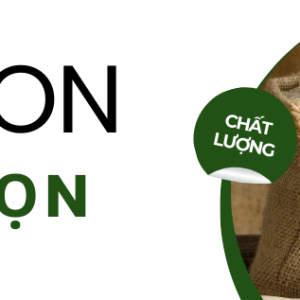 Gạo Đặc Sản Bông Lúa Vàng